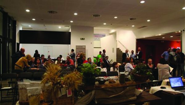 13_2-1 copy