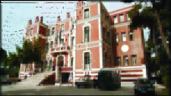 8_1 copy