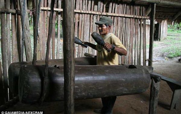 amazonios