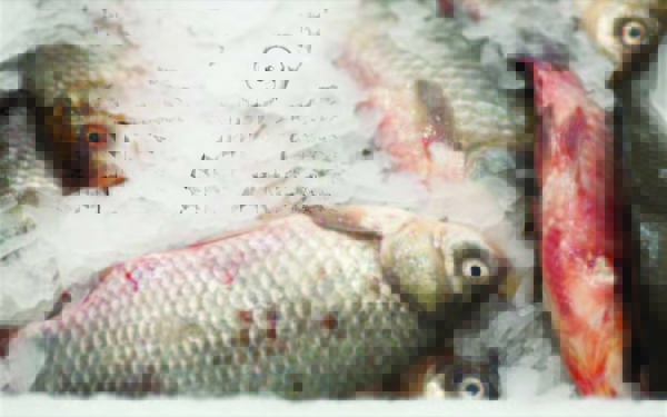 6_2 copy