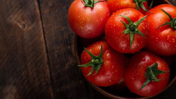 tomatos_shutterstock_1167200128