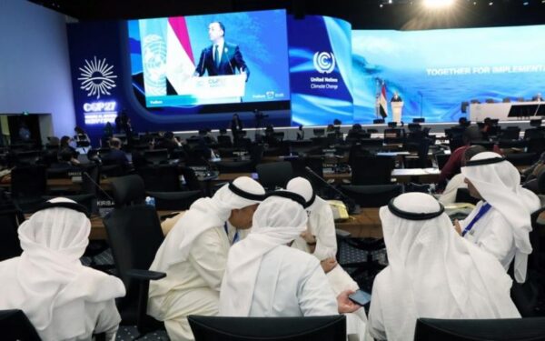 cop20