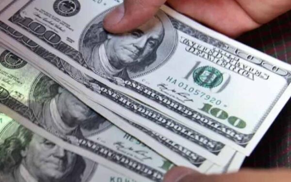 dollaria