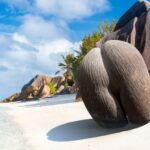 Ζυγίζει έως και 30 κιλά, έχει διάμετρο 50 εκατοστά και είναι ο μεγαλύτερος σπόρος στον πλανήτη