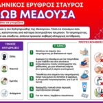 Ελληνικός Ερυθρός Σταυρός: 5 οδηγίες για αντιμετώπιση τσιμπήματος από μωβ μέδουσα